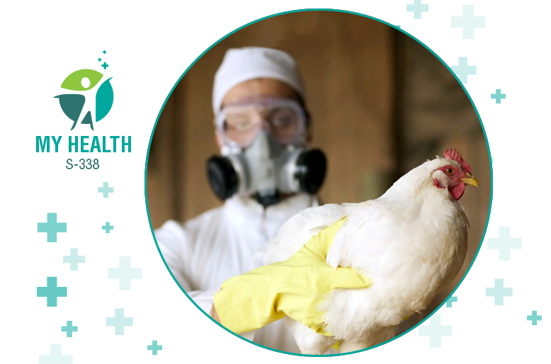 Avian influenza Effect in Humans