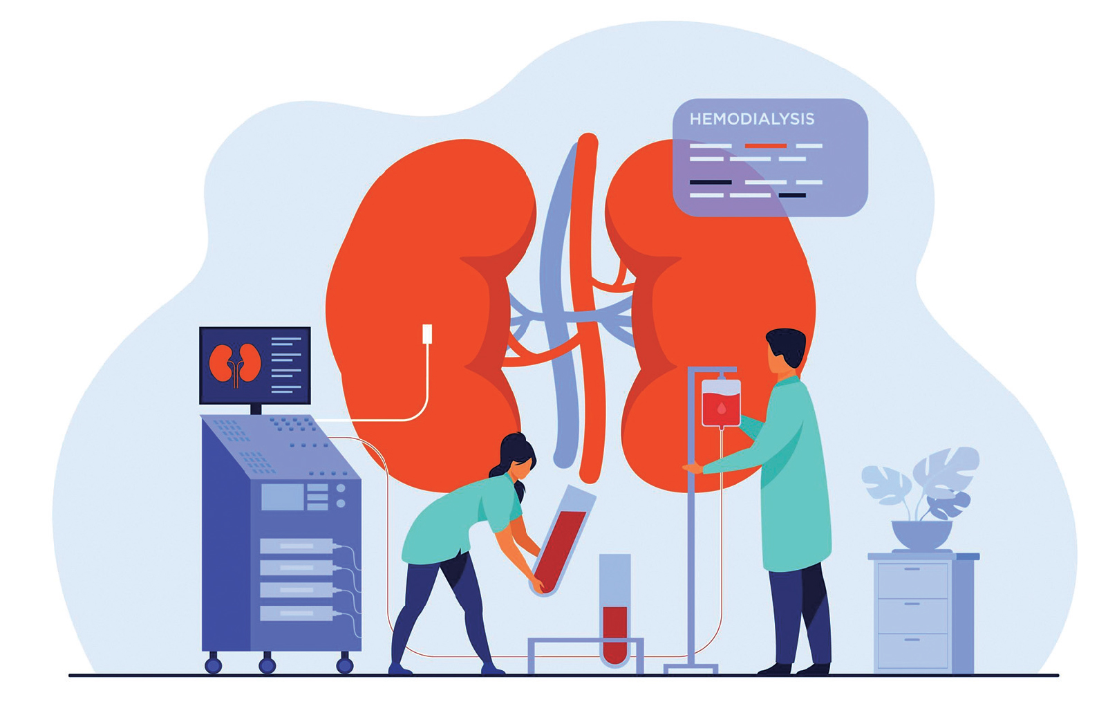 Role Of Lab Tests In Kidney Health Screening Role Of Lab Tests In Kidney Health Screening